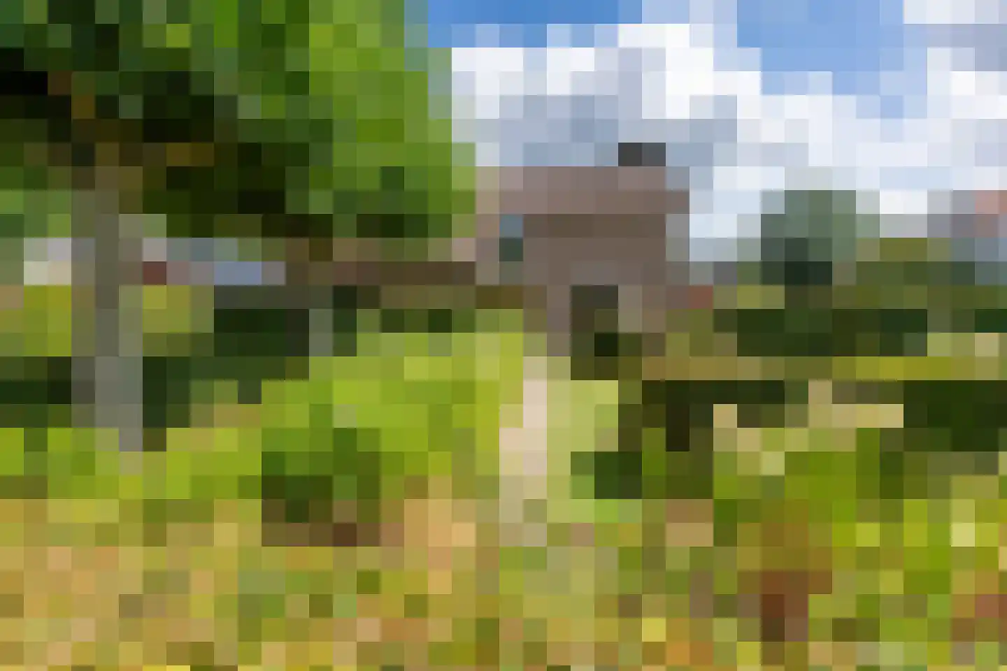Schoolstraat 45 Moergestel thumbnail 6