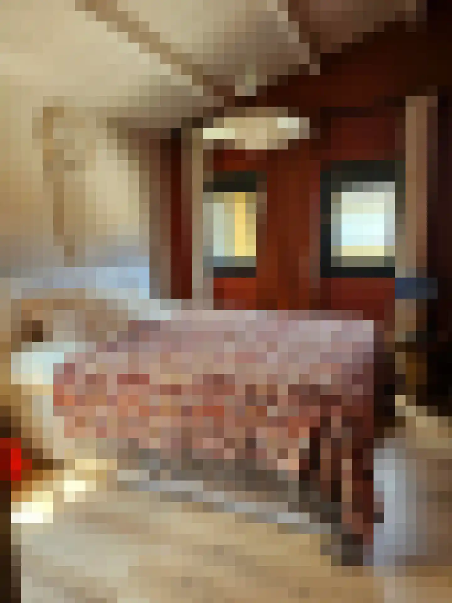 Schoolstraat 45 Nijkerkerveen thumbnail 36