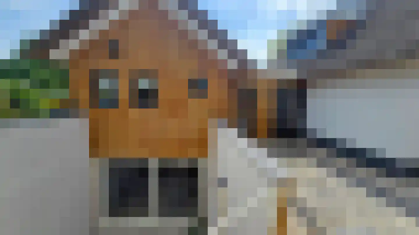 Schoolstraat 45 Nijkerkerveen thumbnail 37