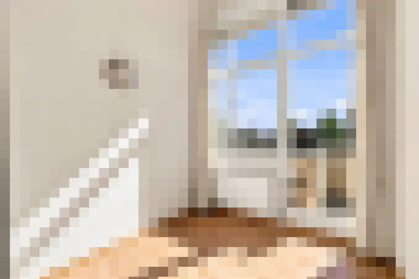 Schoolstraat 45 Zeeland thumbnail 32
