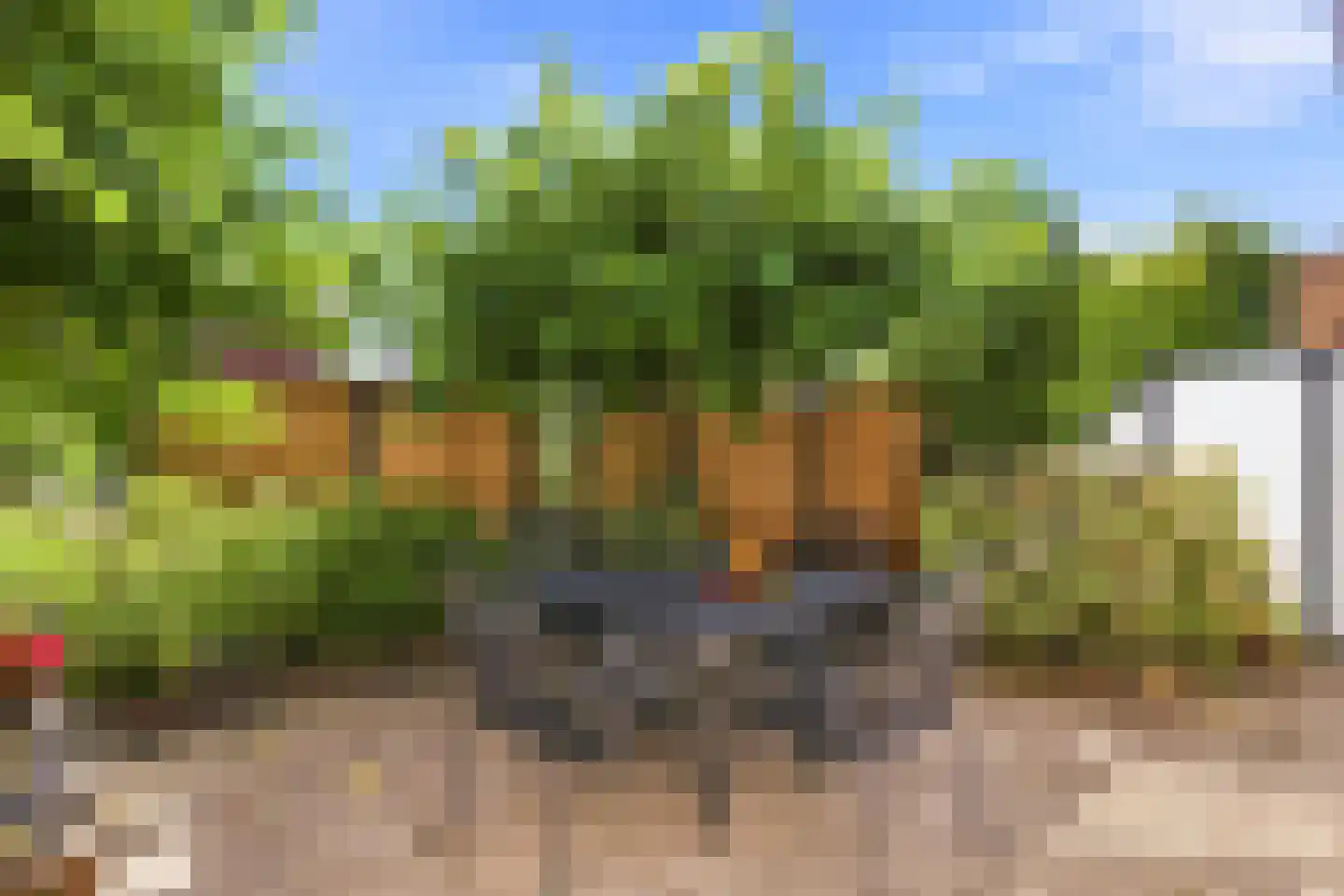 Schoolstraat 45 Zeeland thumbnail 41