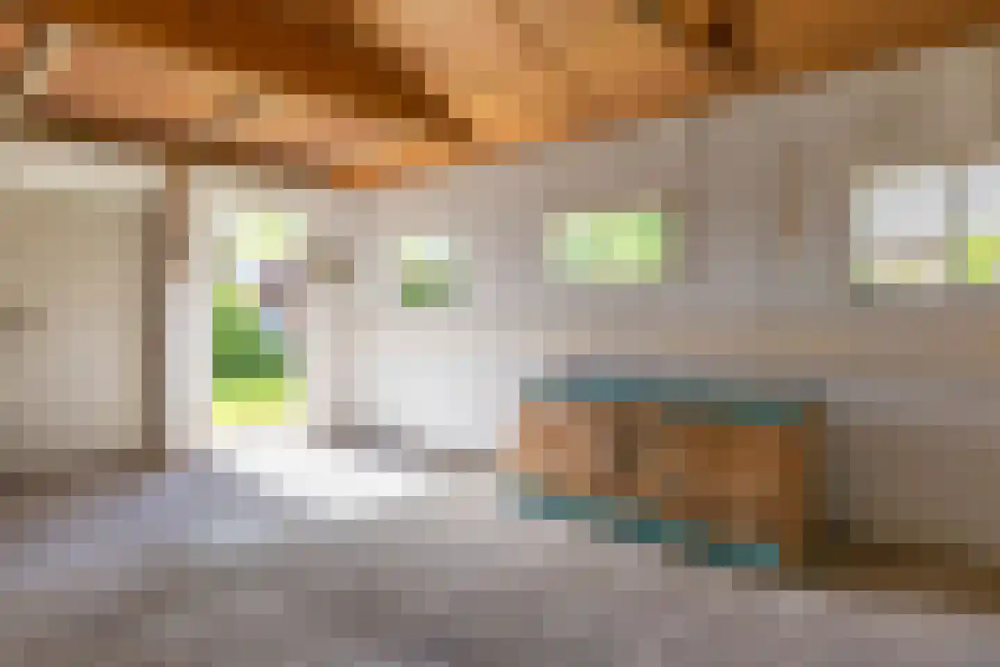 Schoolstraat 47 Beerta thumbnail 43