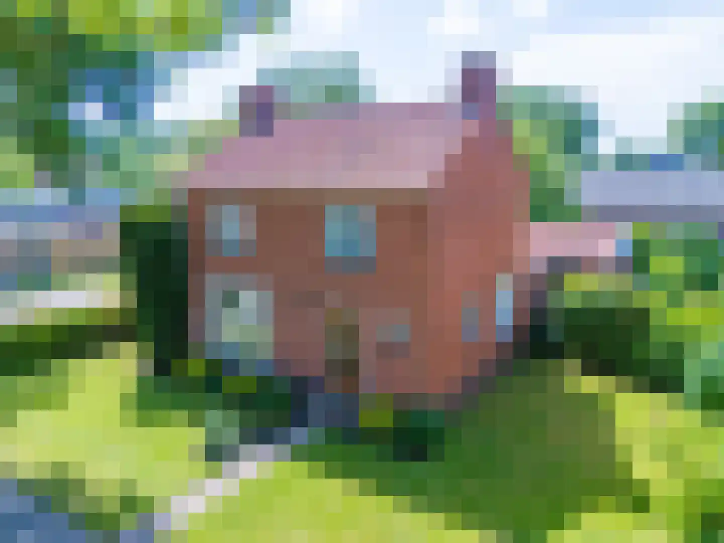 Schoolstraat 47 Beerta thumbnail 49