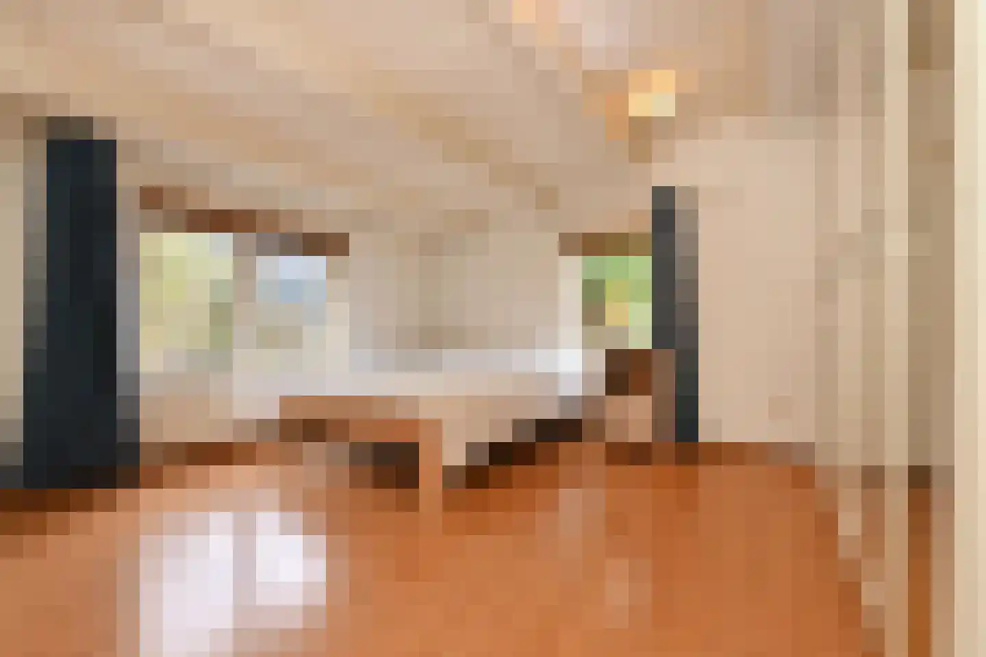 Schoolstraat 47 Nieuw-Vossemeer thumbnail 18