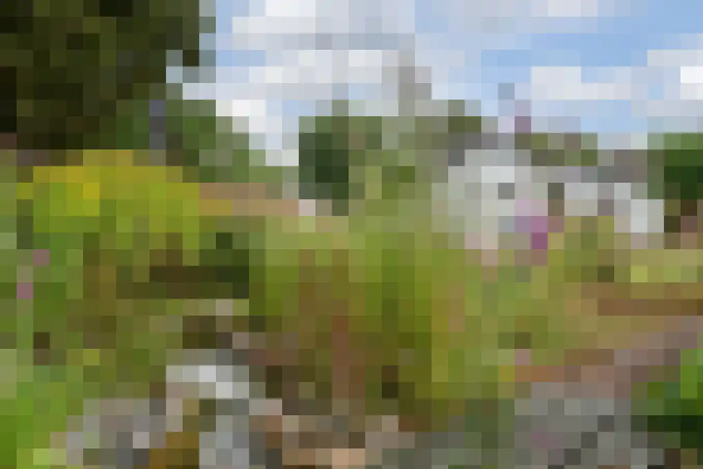 Schoolstraat 47 Nieuw-Vossemeer thumbnail 38