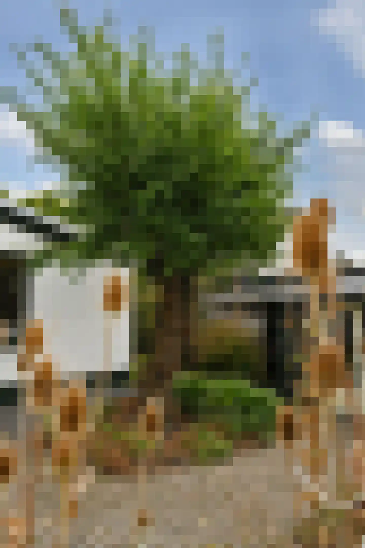 Schoolstraat 47 Nieuw-Vossemeer thumbnail 39