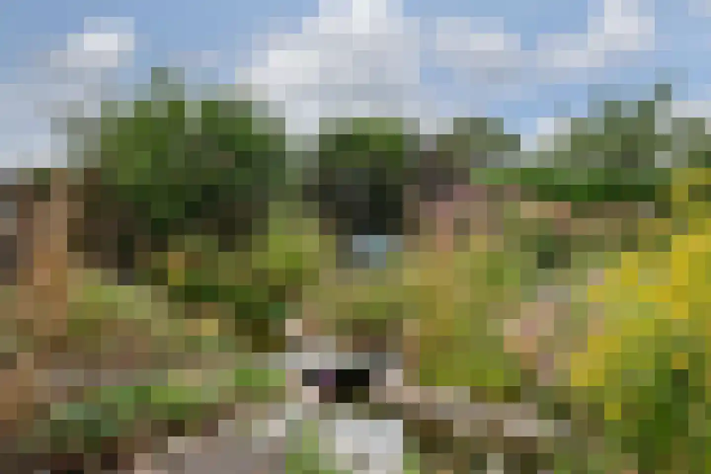 Schoolstraat 47 Nieuw-Vossemeer thumbnail 4