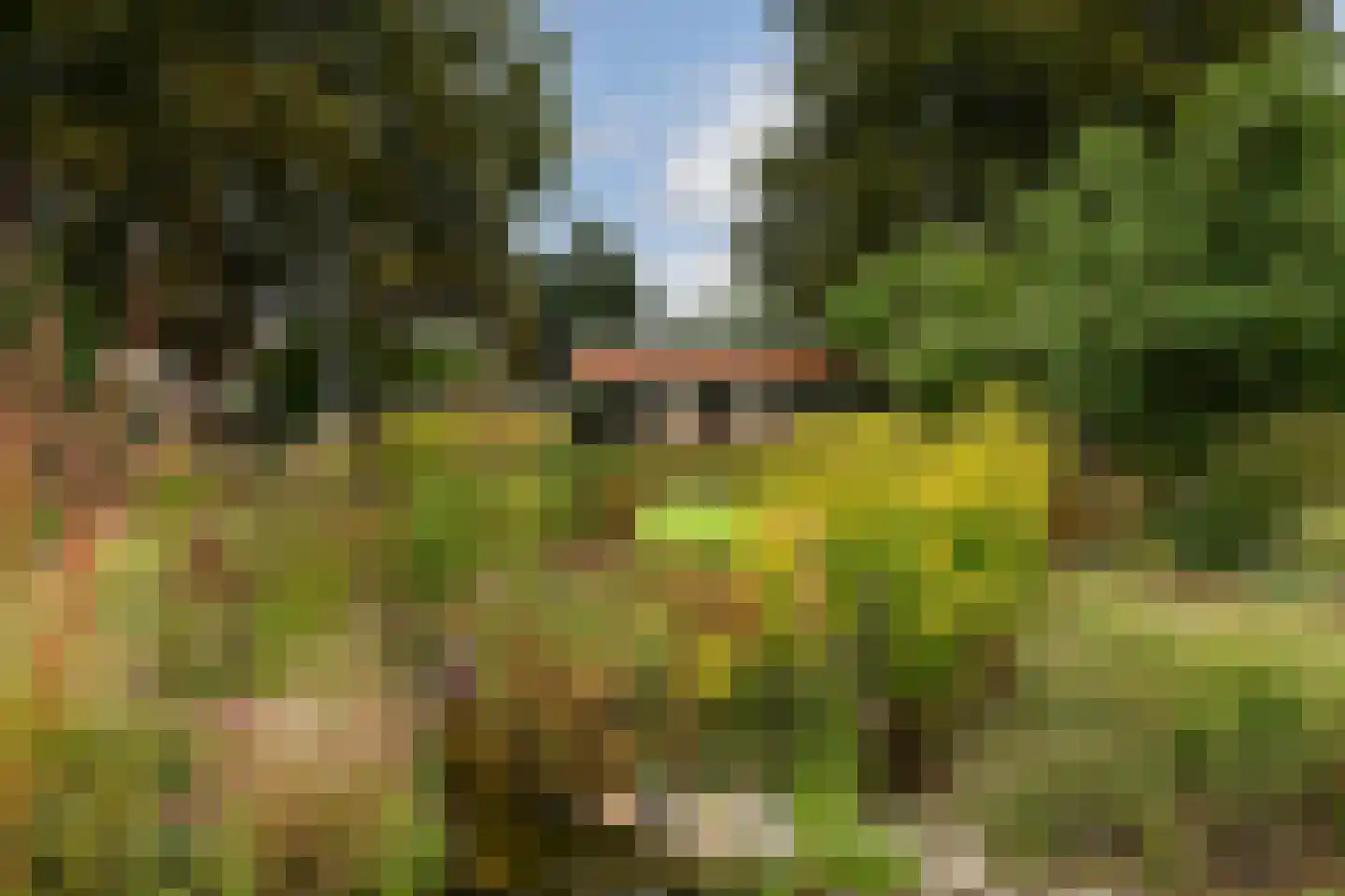 Schoolstraat 47 Nieuw-Vossemeer thumbnail 40