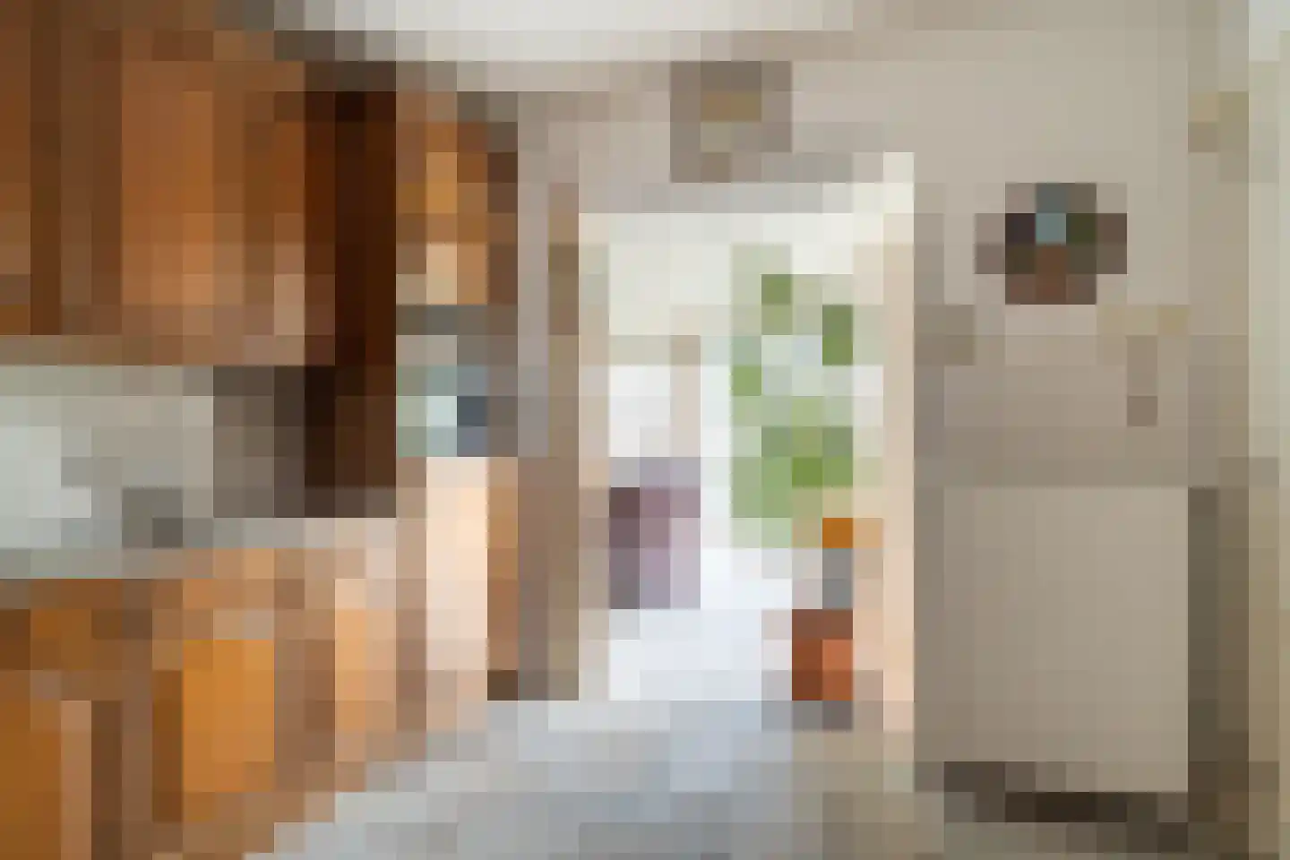 Schoolstraat 47 Waspik thumbnail 16