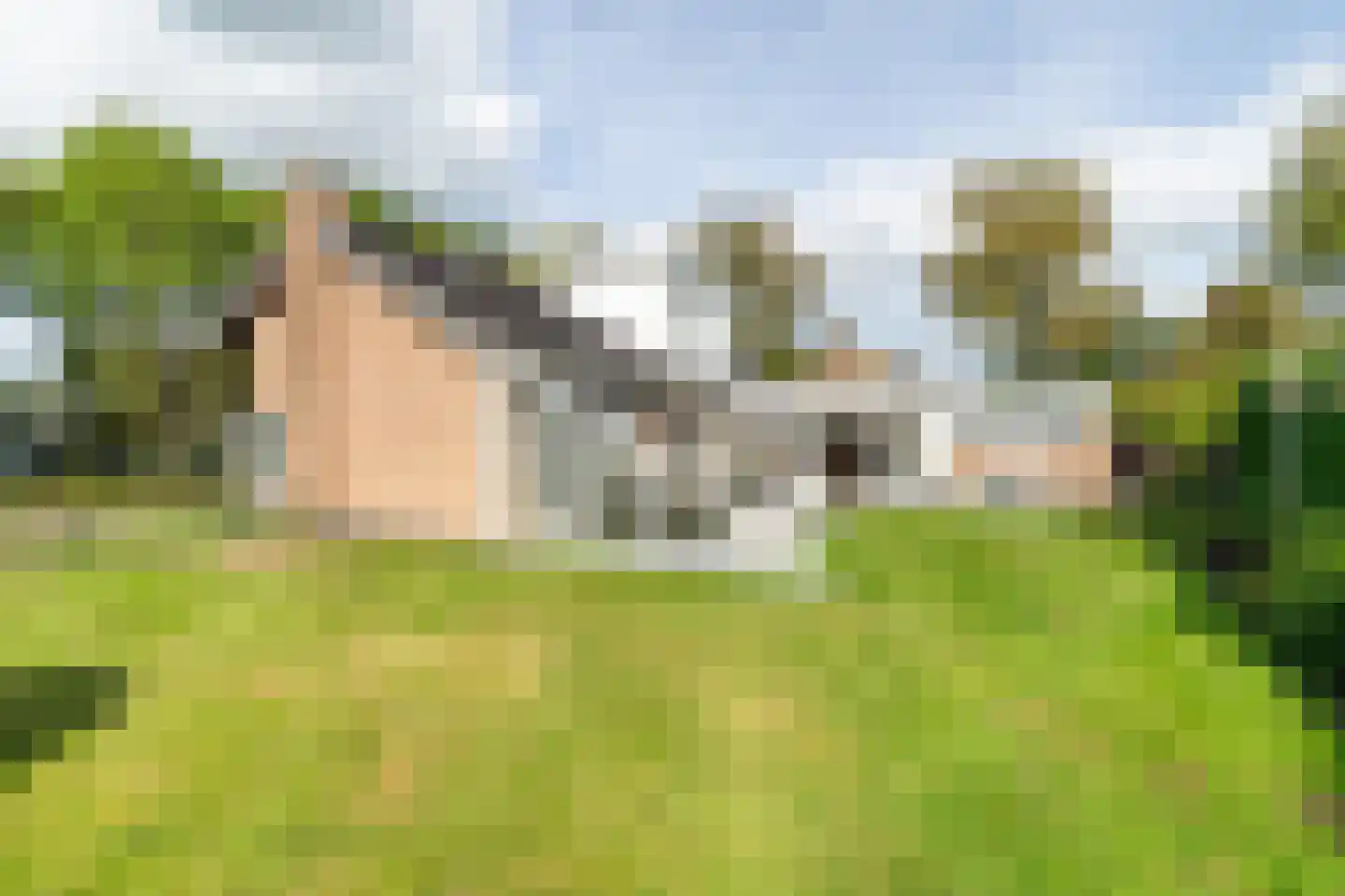 Schoolstraat 47 Waspik thumbnail 4