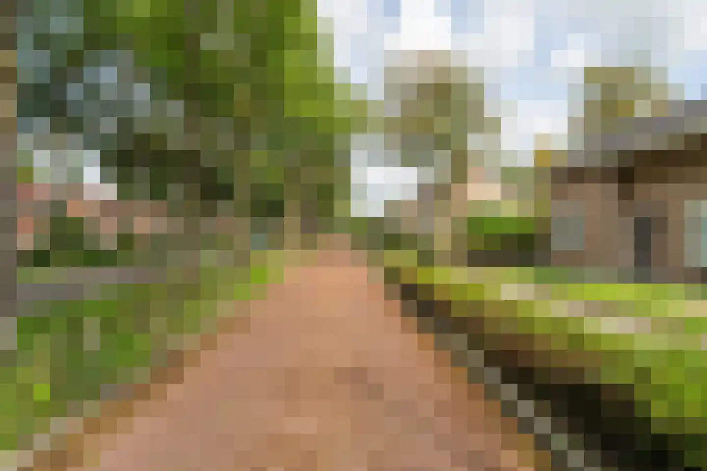 Schoolstraat 47 Waspik thumbnail 5