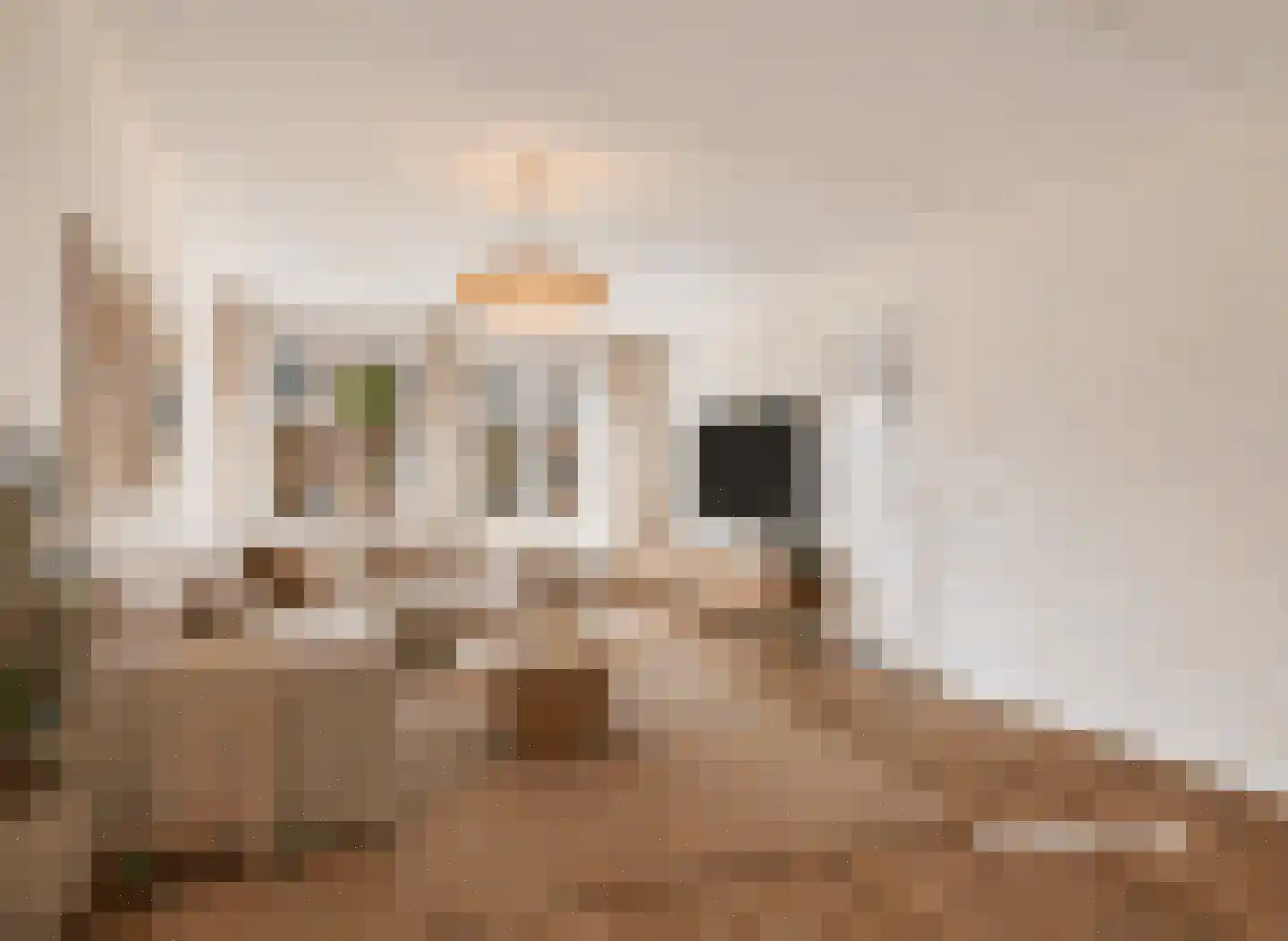 Schoolstraat 48 Ederveen thumbnail 4