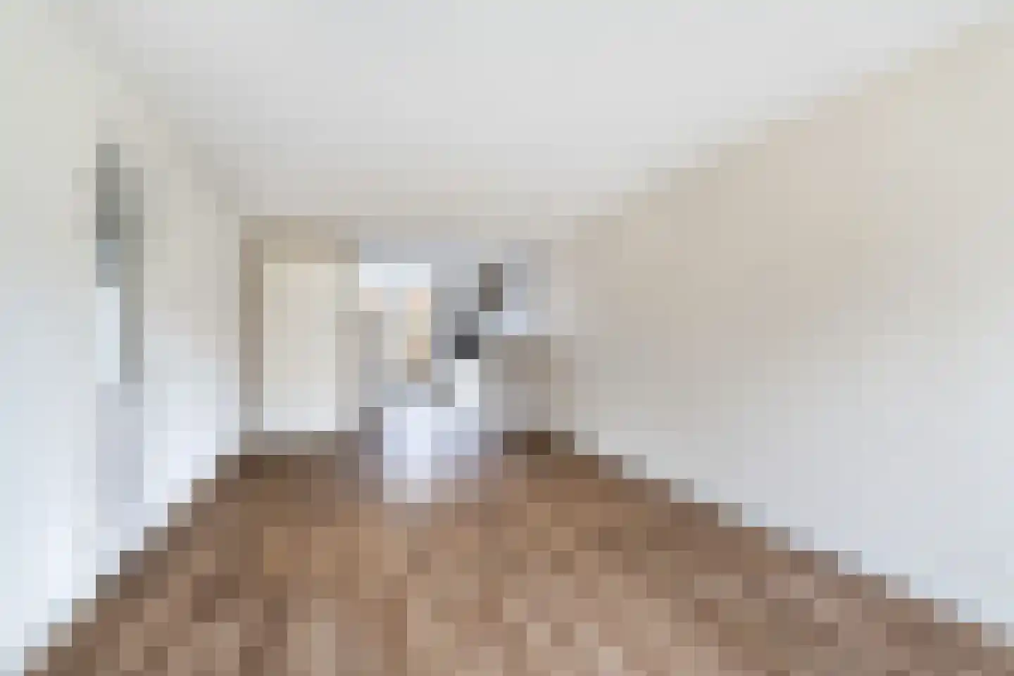 Schoolstraat 48 Ederveen thumbnail 8