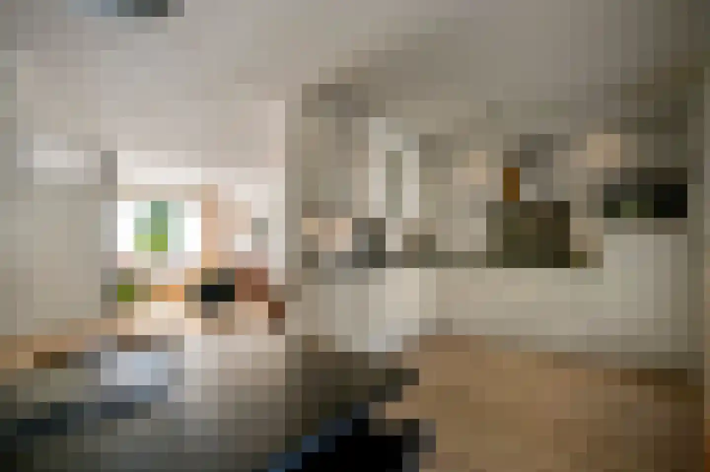 Schoolstraat 48 Horst thumbnail 21