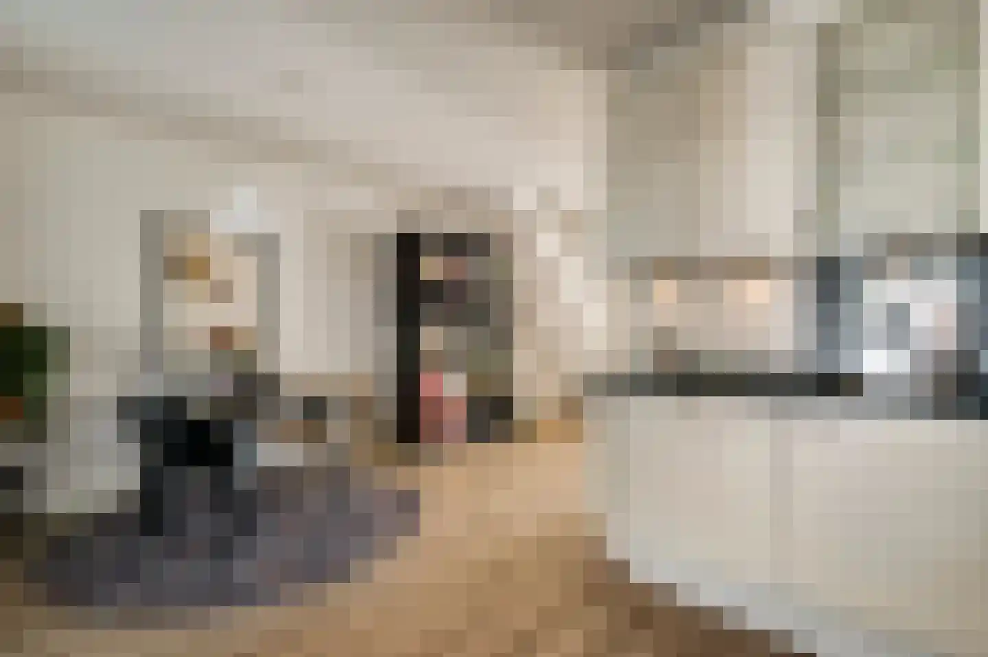 Schoolstraat 48 Horst thumbnail 22