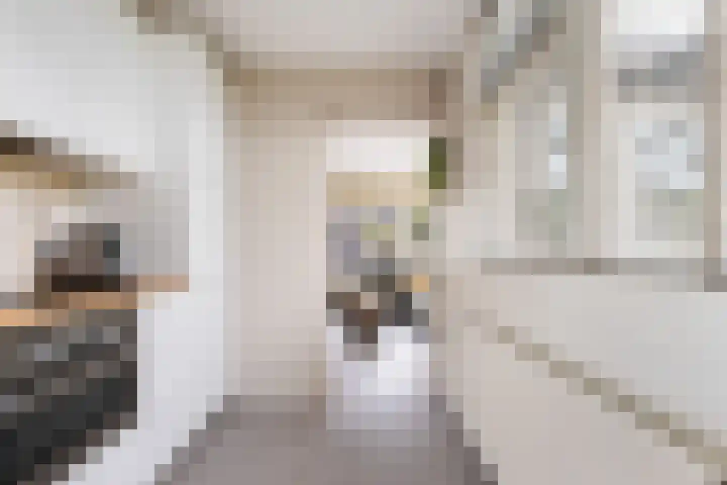 Schoolstraat 48 Krimpen aan de Lek thumbnail 11
