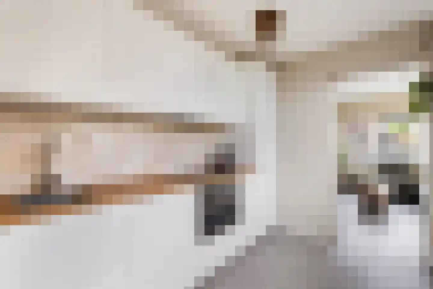 Schoolstraat 48 Krimpen aan de Lek thumbnail 12