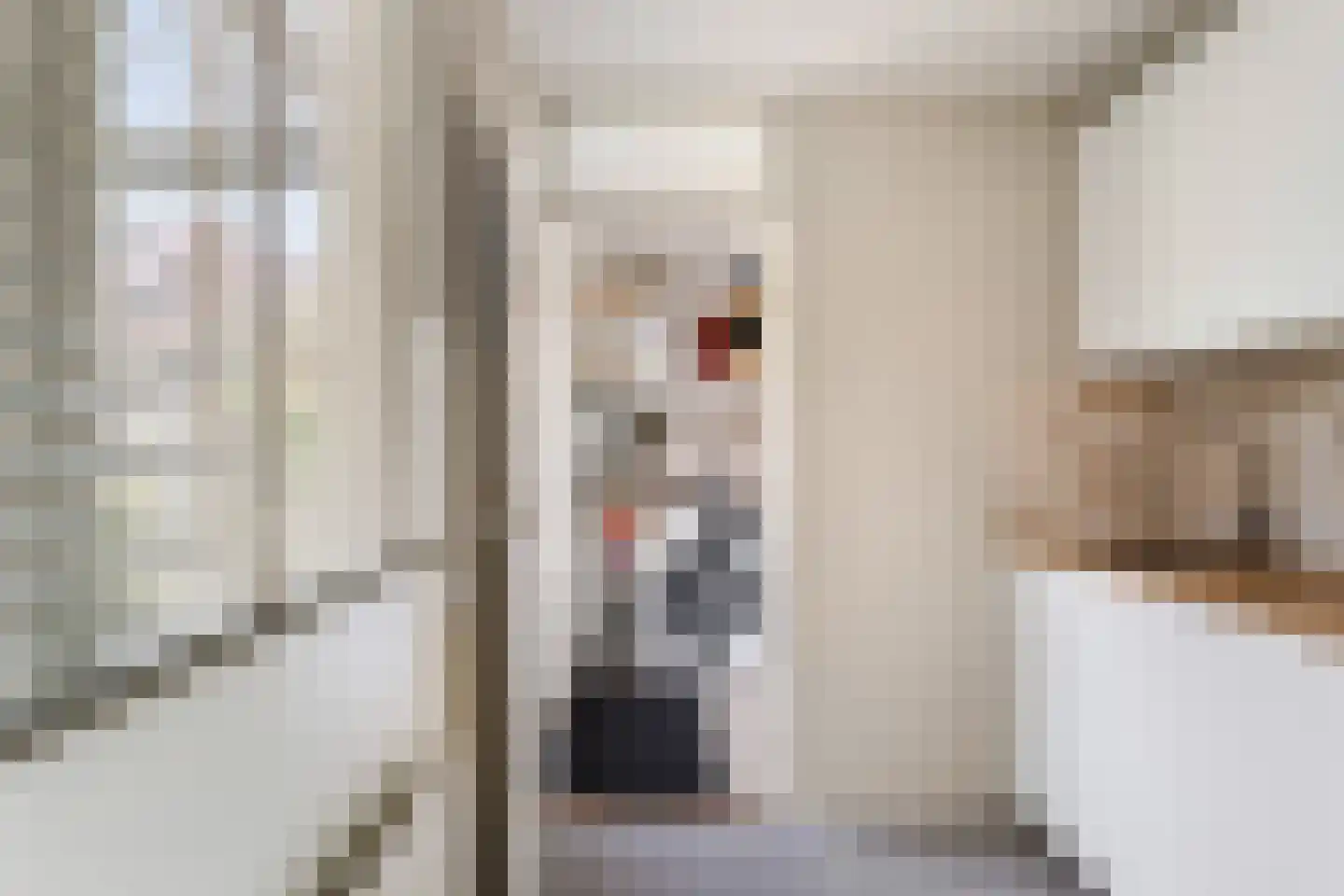 Schoolstraat 48 Krimpen aan de Lek thumbnail 14