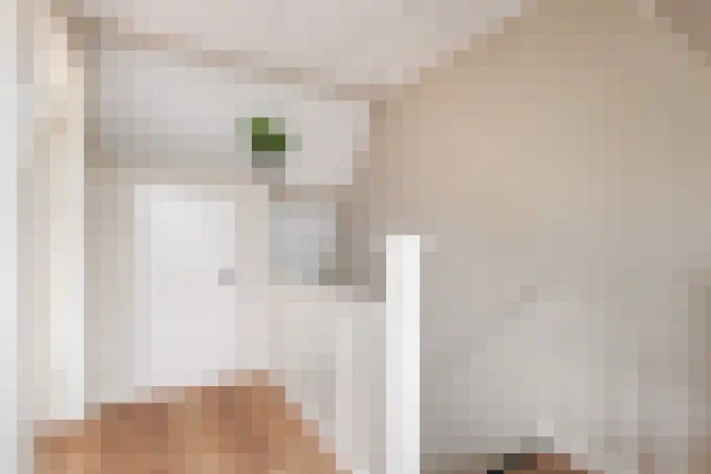 Schoolstraat 48 Krimpen aan de Lek thumbnail 24