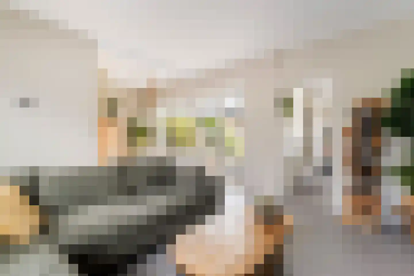 Schoolstraat 48 Krimpen aan de Lek thumbnail 7