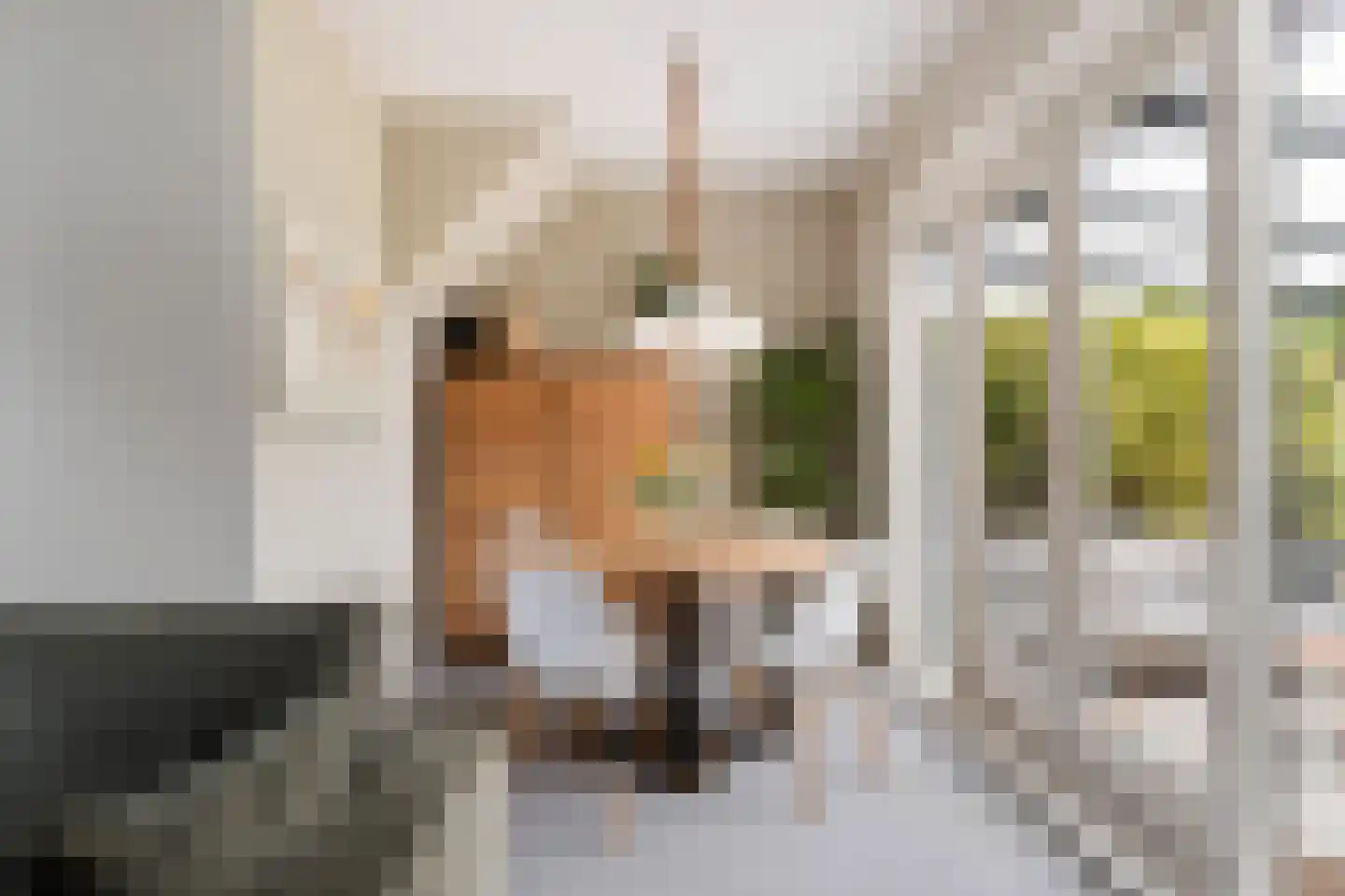 Schoolstraat 48 Krimpen aan de Lek thumbnail 8