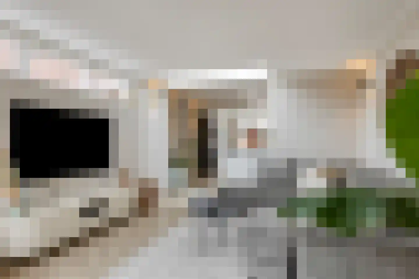Schoolstraat 49 Goor thumbnail 11