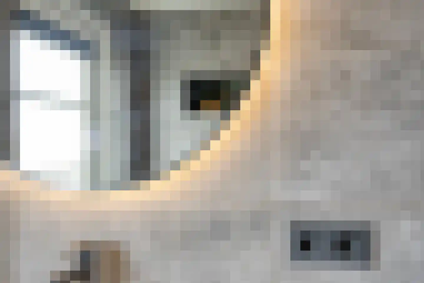 Schoolstraat 49 Goor thumbnail 18