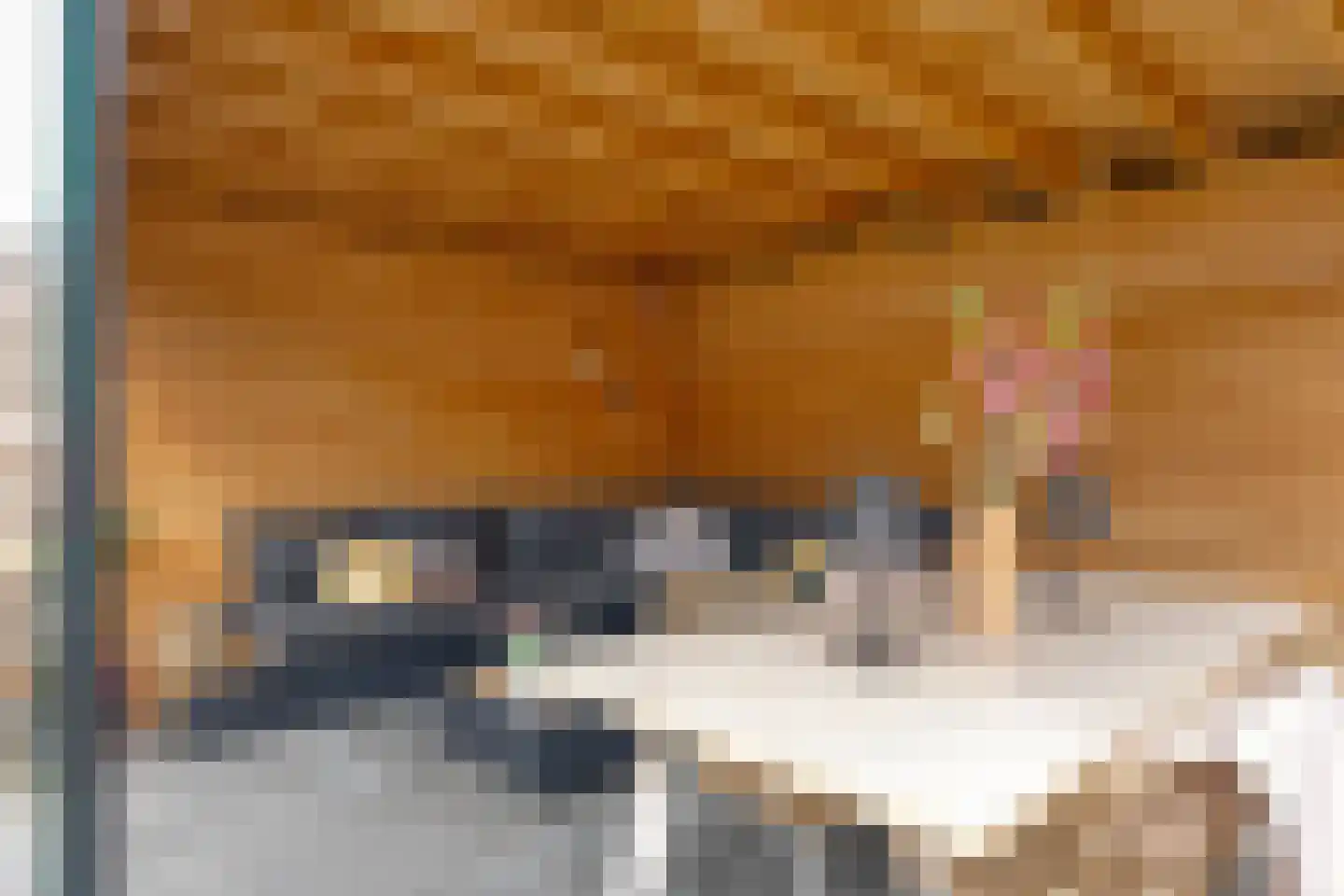 Schoolstraat 49 Goor thumbnail 31