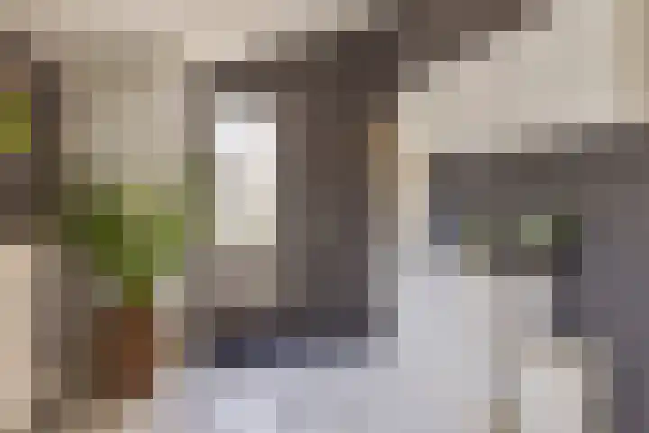 Schoolstraat 5 2e Exloërmond thumbnail 19