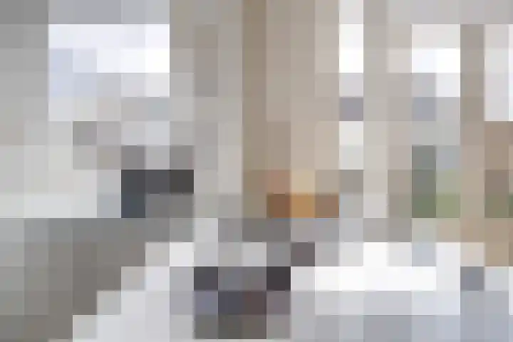 Schoolstraat 5 BS Utrecht thumbnail 25