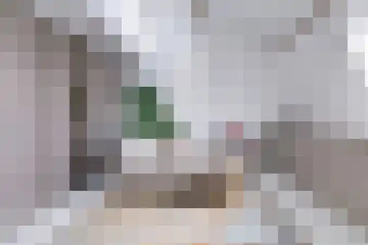 Schoolstraat 5 BS Utrecht thumbnail 44