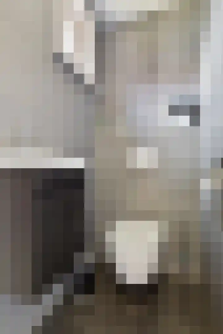Schoolstraat 5 Eede thumbnail 17