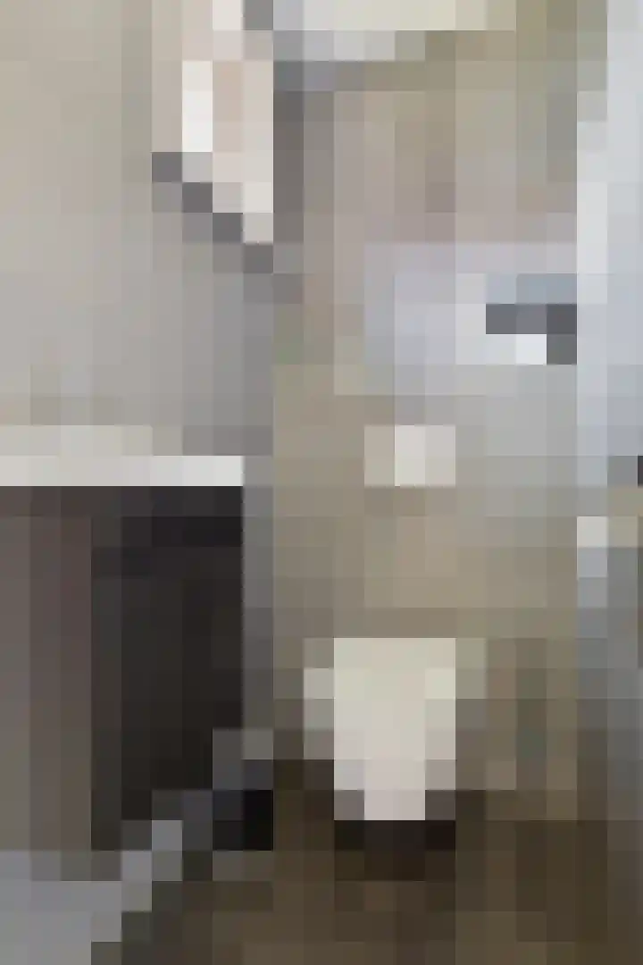 Schoolstraat 5 Eede thumbnail 17