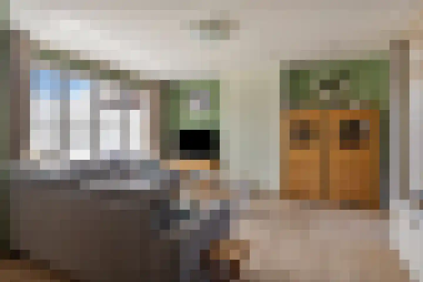 Schoolstraat 5 Eede thumbnail 4
