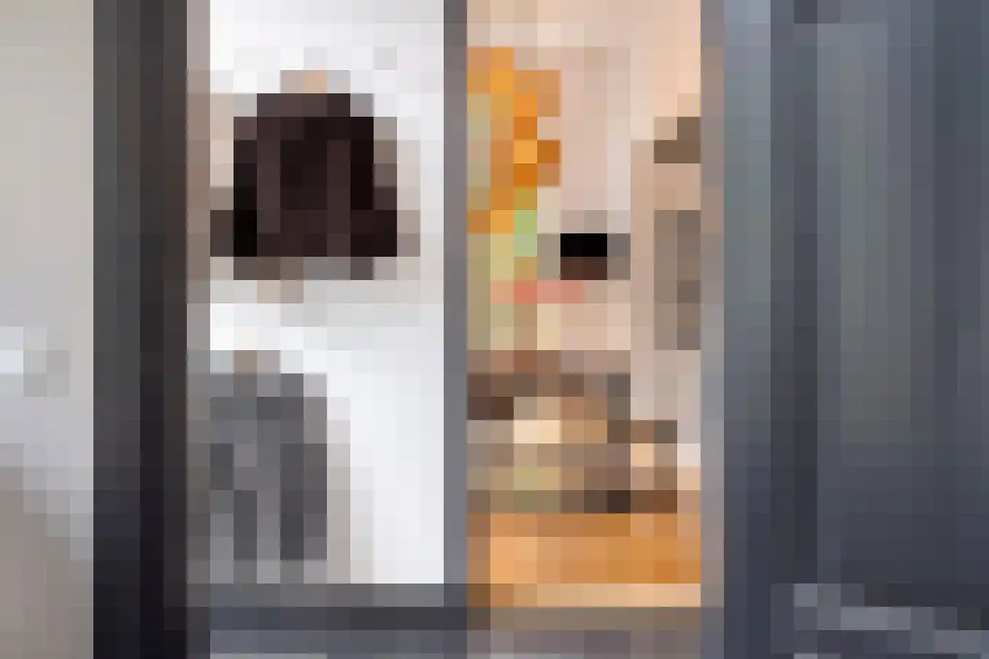 Schoolstraat 5 Gemert thumbnail 11