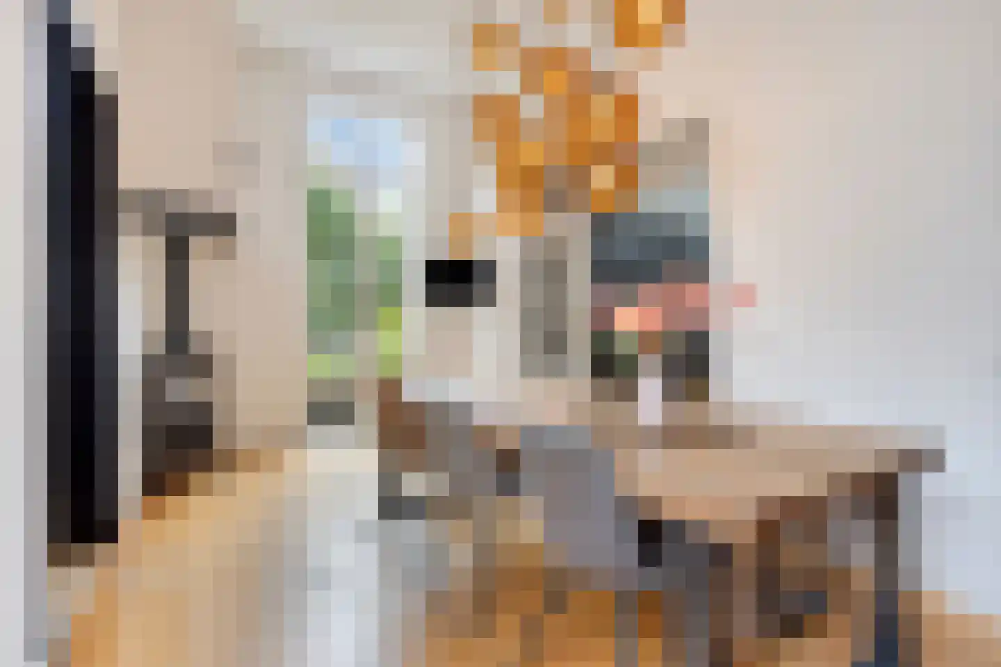 Schoolstraat 5 Gemert thumbnail 12