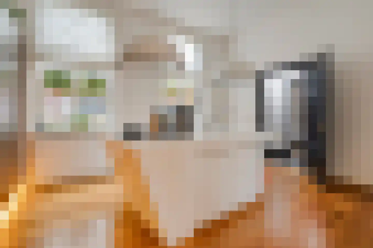 Schoolstraat 5 Gemert thumbnail 16