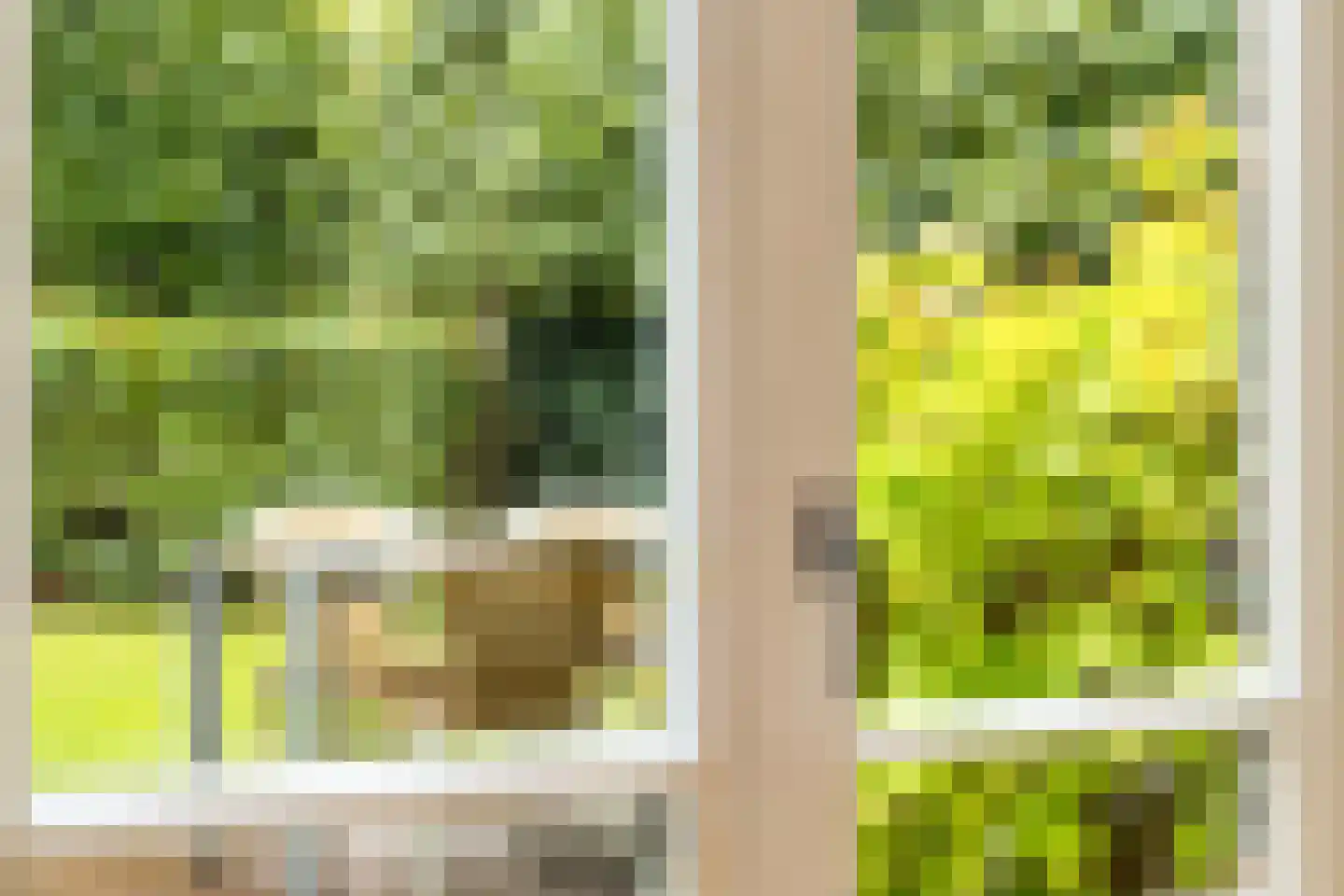 Schoolstraat 5 Gemert thumbnail 22