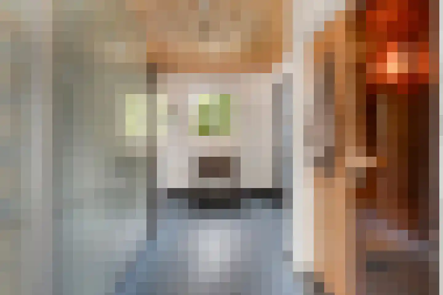 Schoolstraat 5 Gemert thumbnail 24
