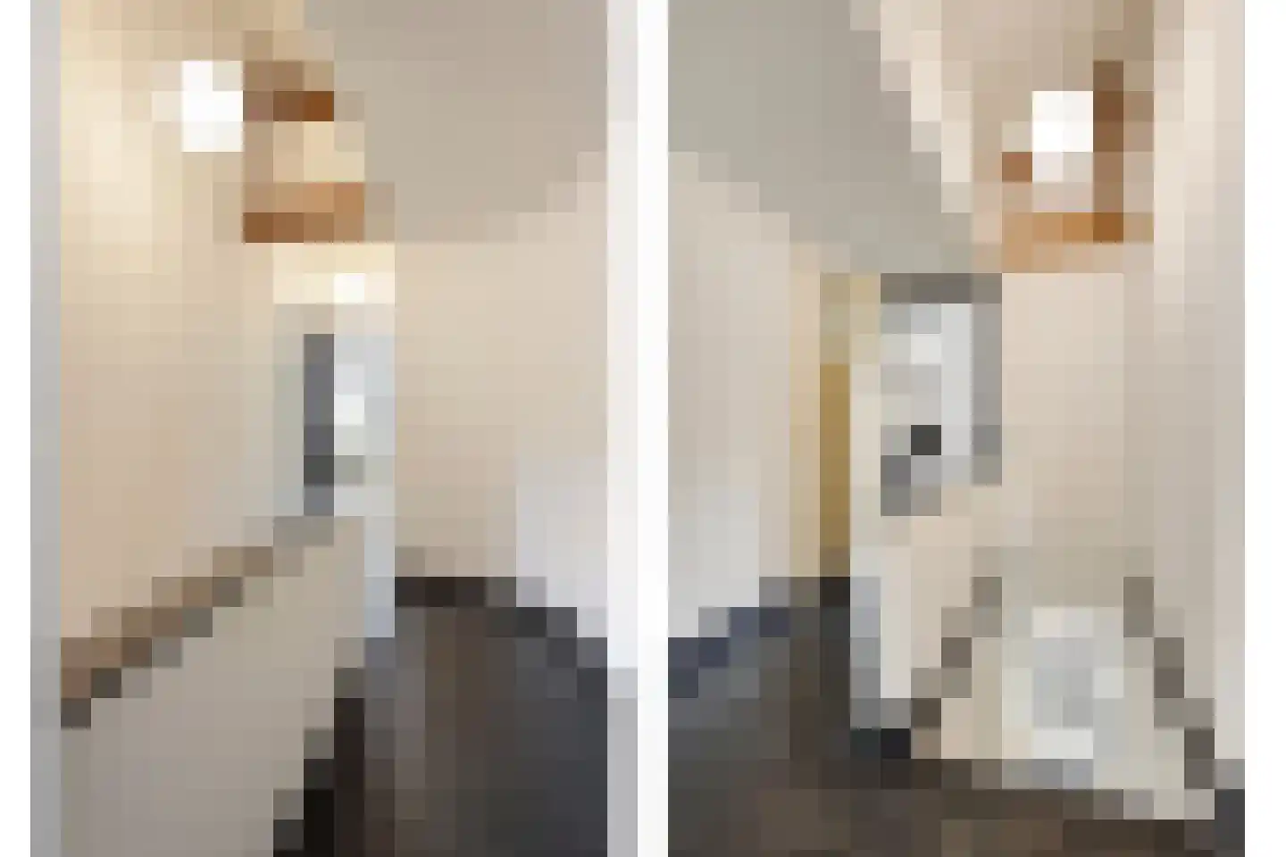 Schoolstraat 5 Gemert thumbnail 26