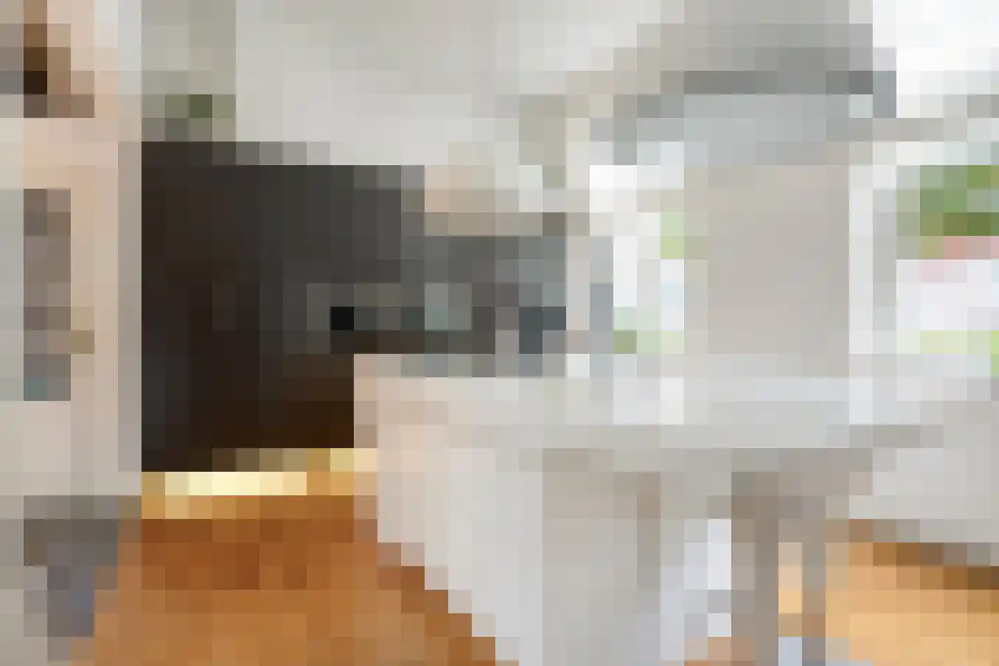 Schoolstraat 5 Gemert thumbnail 4