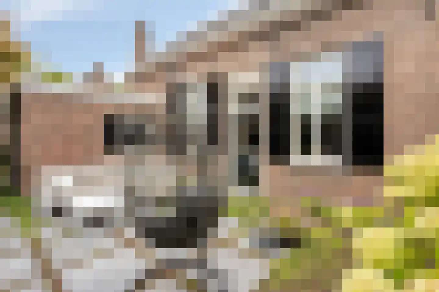 Schoolstraat 5 Gemert thumbnail 41