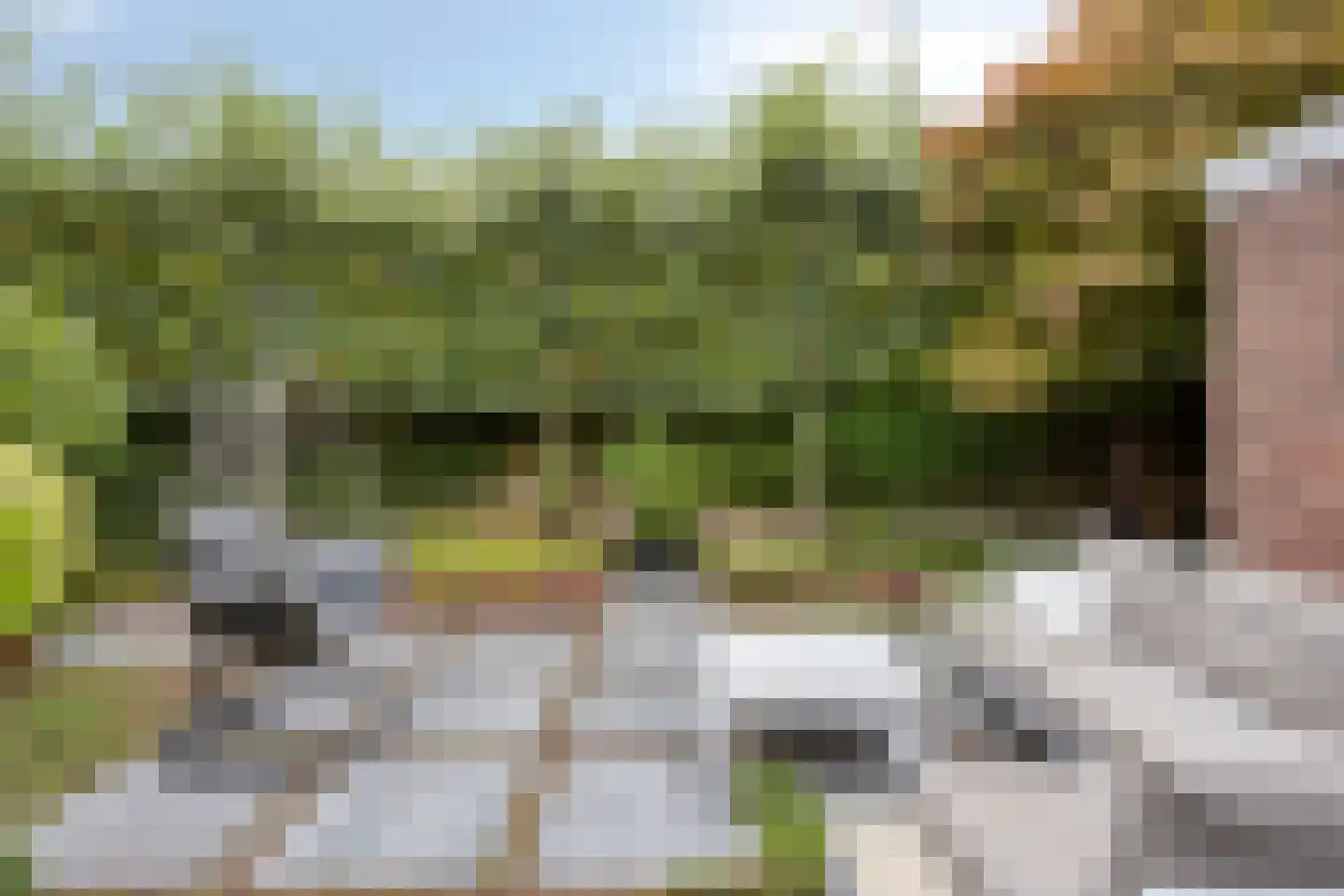 Schoolstraat 5 Gemert thumbnail 42