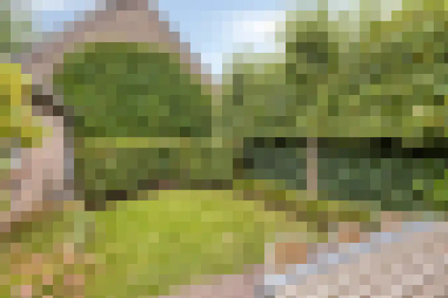 Schoolstraat 5 Gemert thumbnail 44