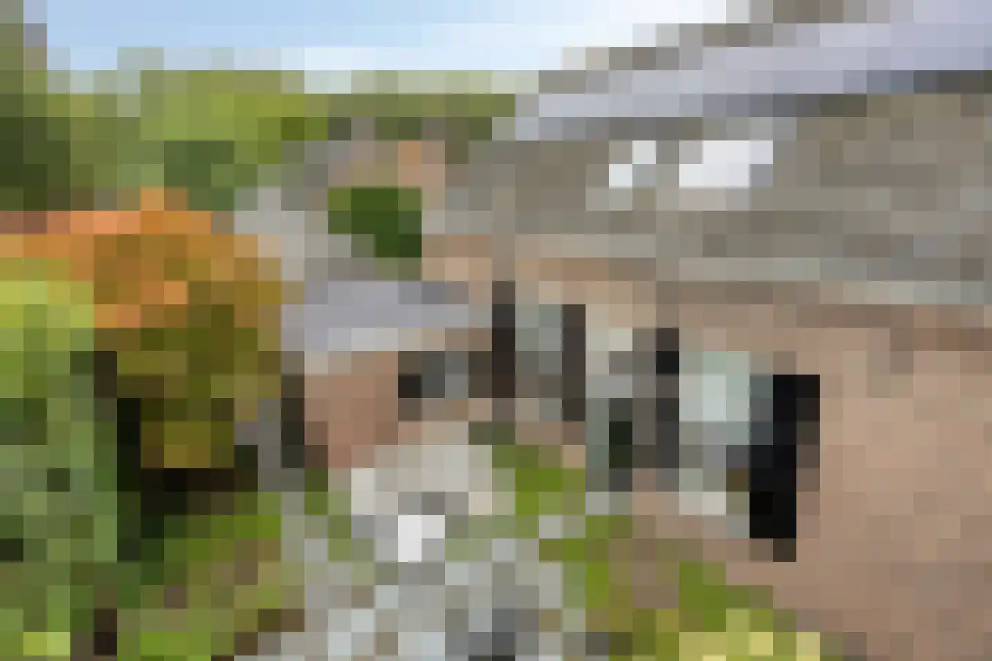 Schoolstraat 5 Gemert thumbnail 47