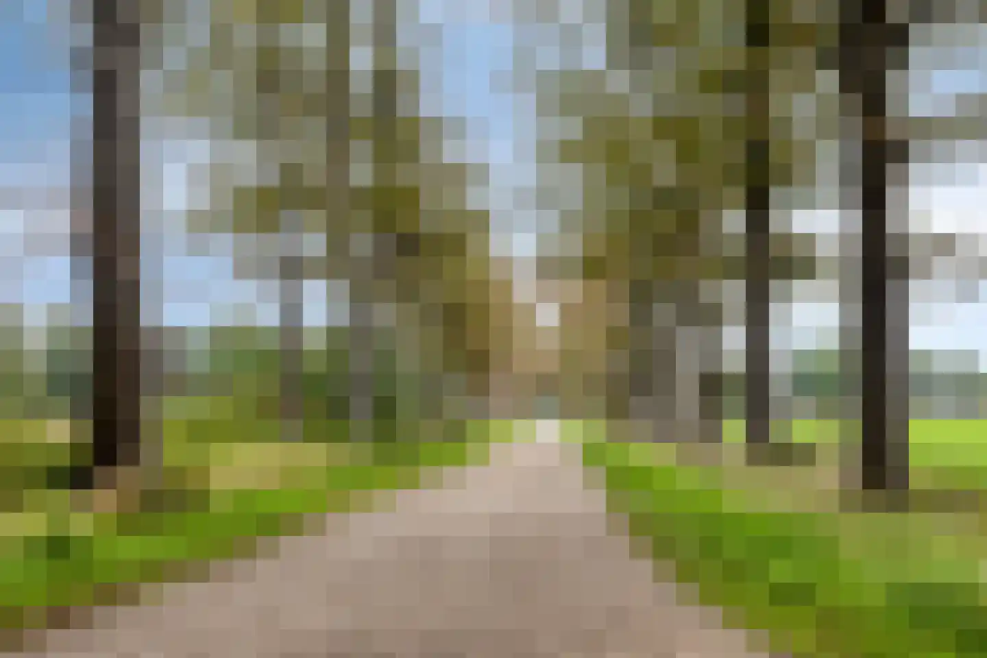 Schoolstraat 5 Gemert thumbnail 52