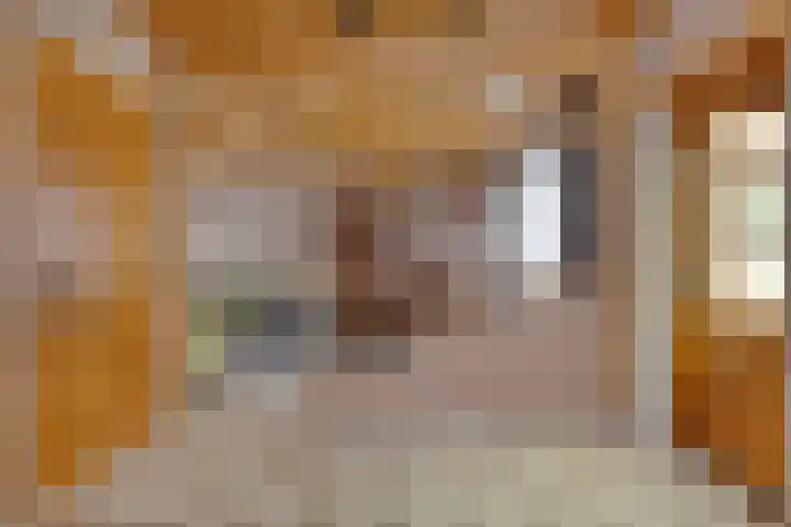Schoolstraat 5 Heikant thumbnail 10
