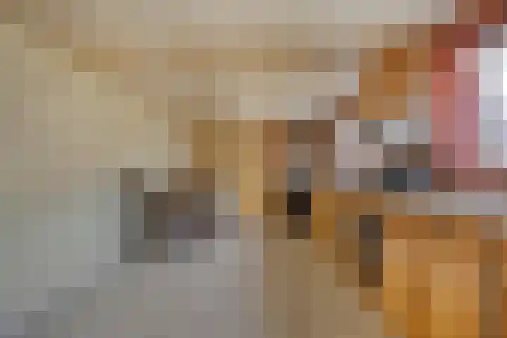 Schoolstraat 5 Heikant thumbnail 12