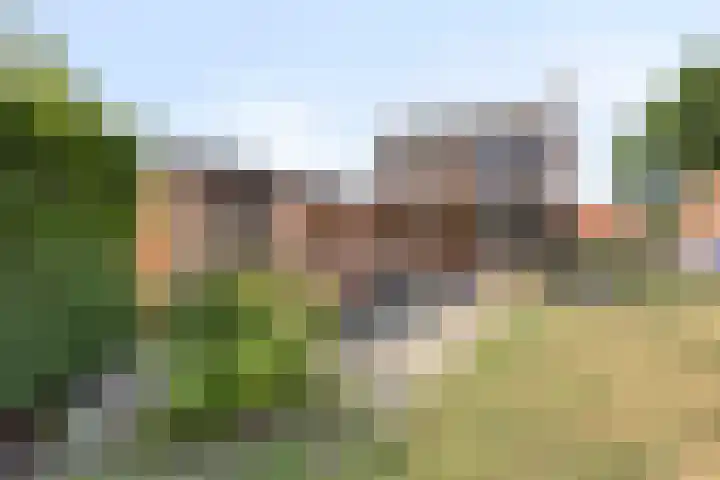 Schoolstraat 5 Heikant thumbnail 23