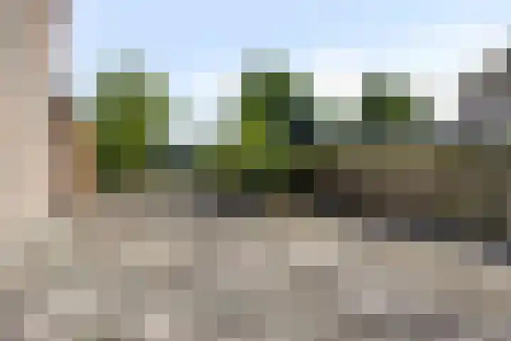 Schoolstraat 5 Heikant thumbnail 25